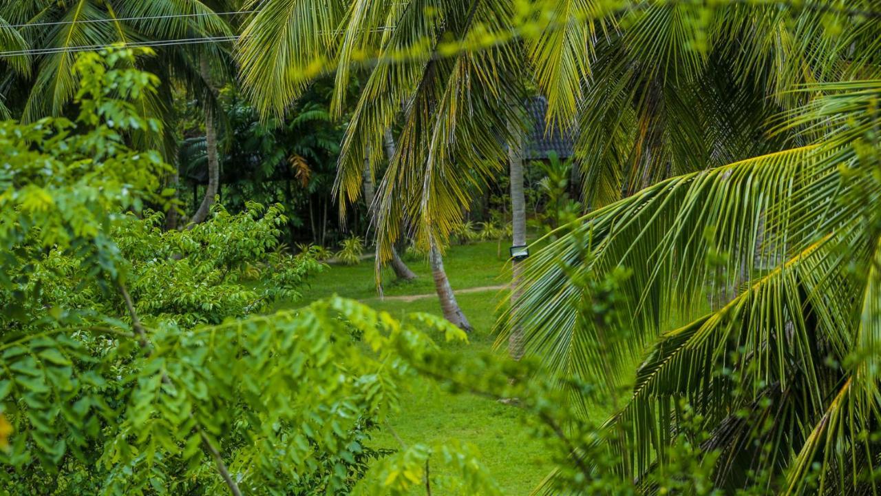 Silver Crown Nature Resort Kombichankulama Экстерьер фото